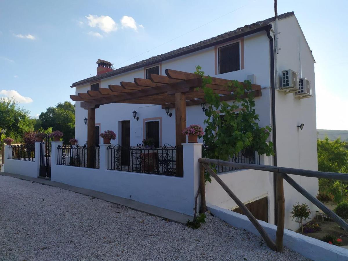 Affittacamere La Casa De La Abuela Setenil De Las Bodegas Esterno foto