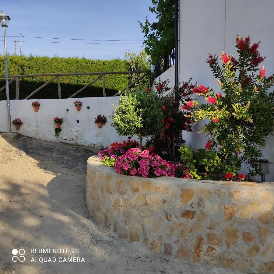 Affittacamere La Casa De La Abuela Setenil De Las Bodegas Esterno foto