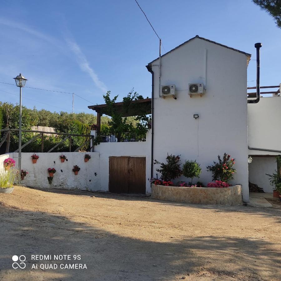 Affittacamere La Casa De La Abuela Setenil De Las Bodegas Esterno foto