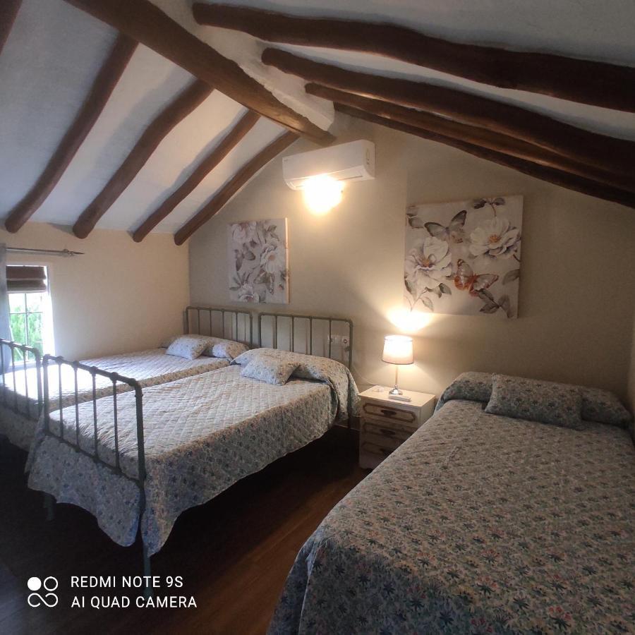 Affittacamere La Casa De La Abuela Setenil De Las Bodegas Esterno foto