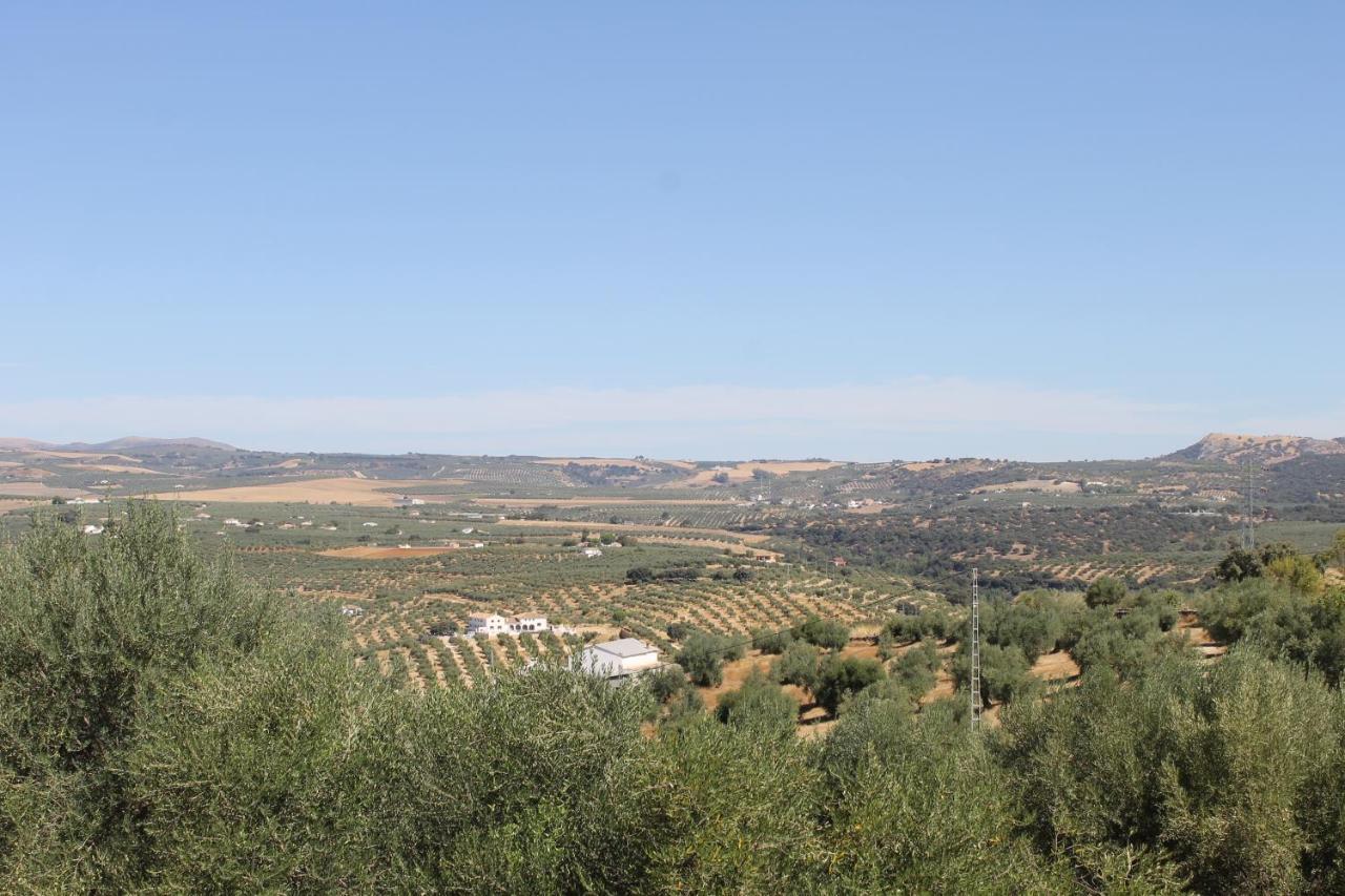 Affittacamere La Casa De La Abuela Setenil De Las Bodegas Esterno foto