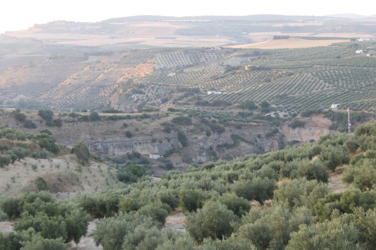 Affittacamere La Casa De La Abuela Setenil De Las Bodegas Esterno foto